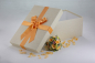 Preview: Die Brautkleidbox Apricot Labyrinth wird mit einer passenden Satinschleife komplettiert.
